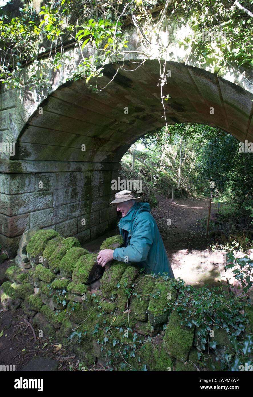 24/05/16   Andrew Brown-Jackson secures a coping stone making sure not to damage protected lichens and moss under an ancient sandstone bridge that mad Stock Photo