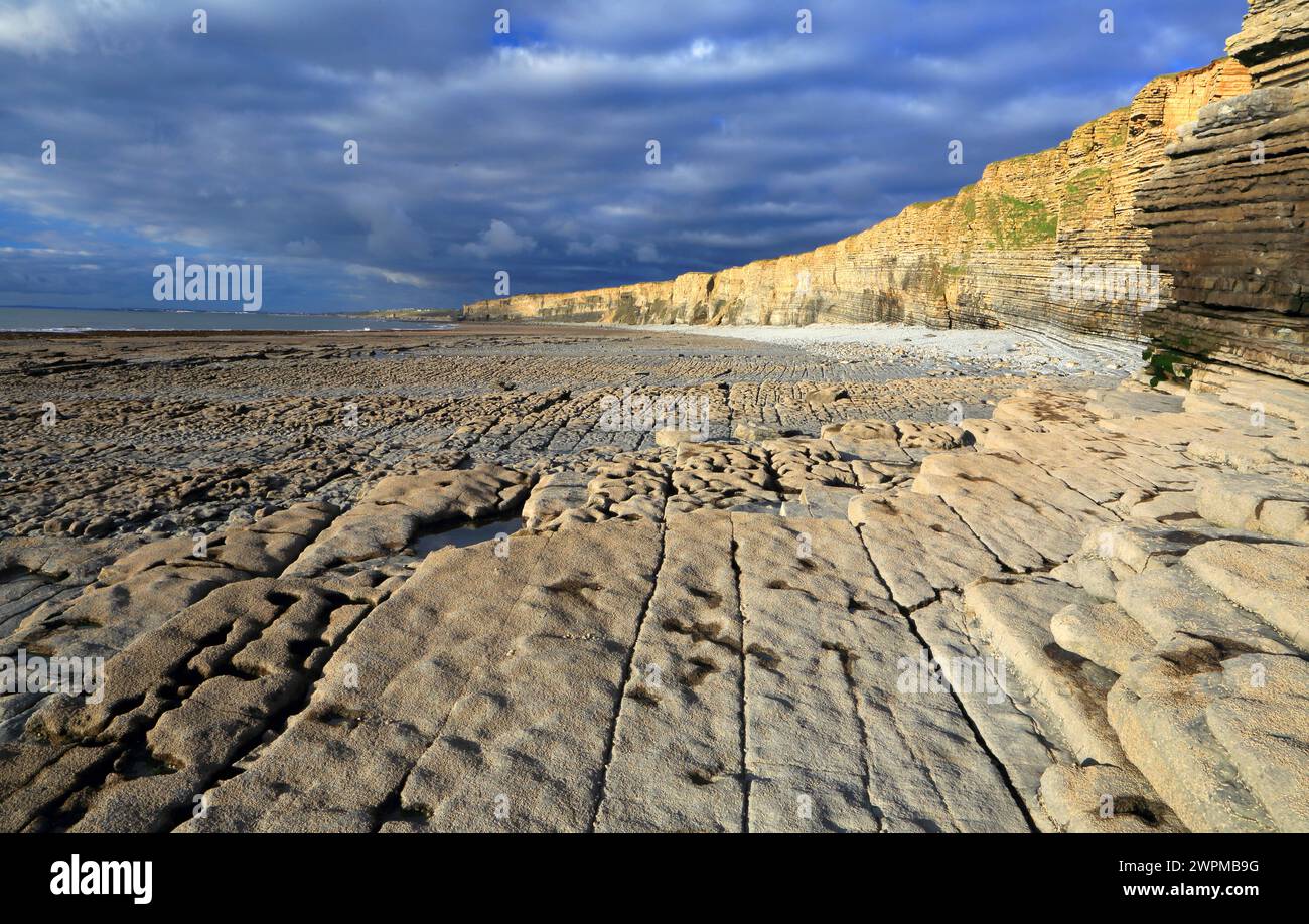 Cliffs at Nash Point, Glamorgan Heritage Coast, South Wales, United Kingdom, Europe Copyright: GeraintxTellem 1365-351 Stock Photo