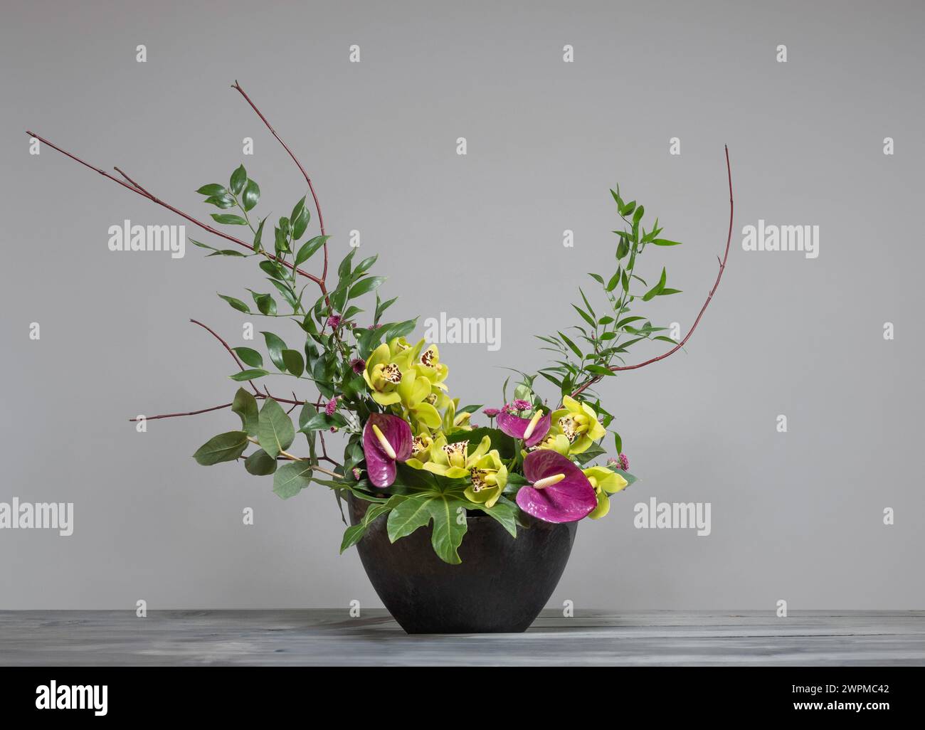 Asymmetrical flower arrangement with magenta anthuriums, lime green cymbidium orchids, foliage and twigs in a grey container on a grey background. Stock Photo
