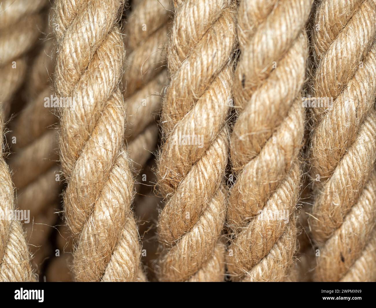 Jute fibres hi-res stock photography and images - Alamy