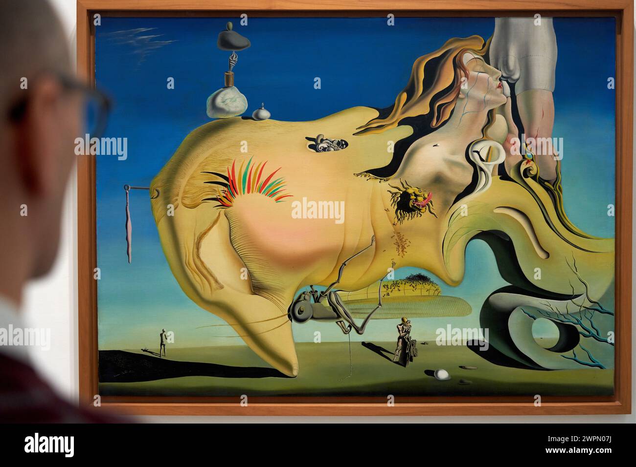 Visitor, “Face of the Great Masturbator”, 1929, Salvador Dalí (1904