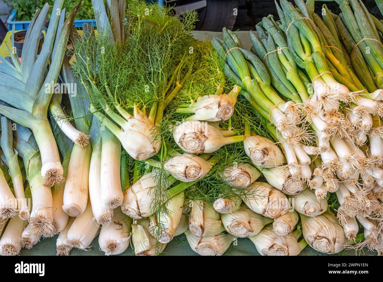 Celery, leek and spring onion for sale at a market Stock Photo Alamy