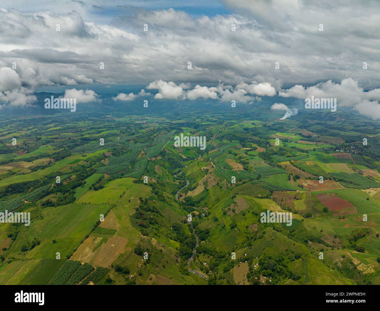 Mindanao Rice Agricultural land with green paddy fields. Mindanao, Philippines Stock ...