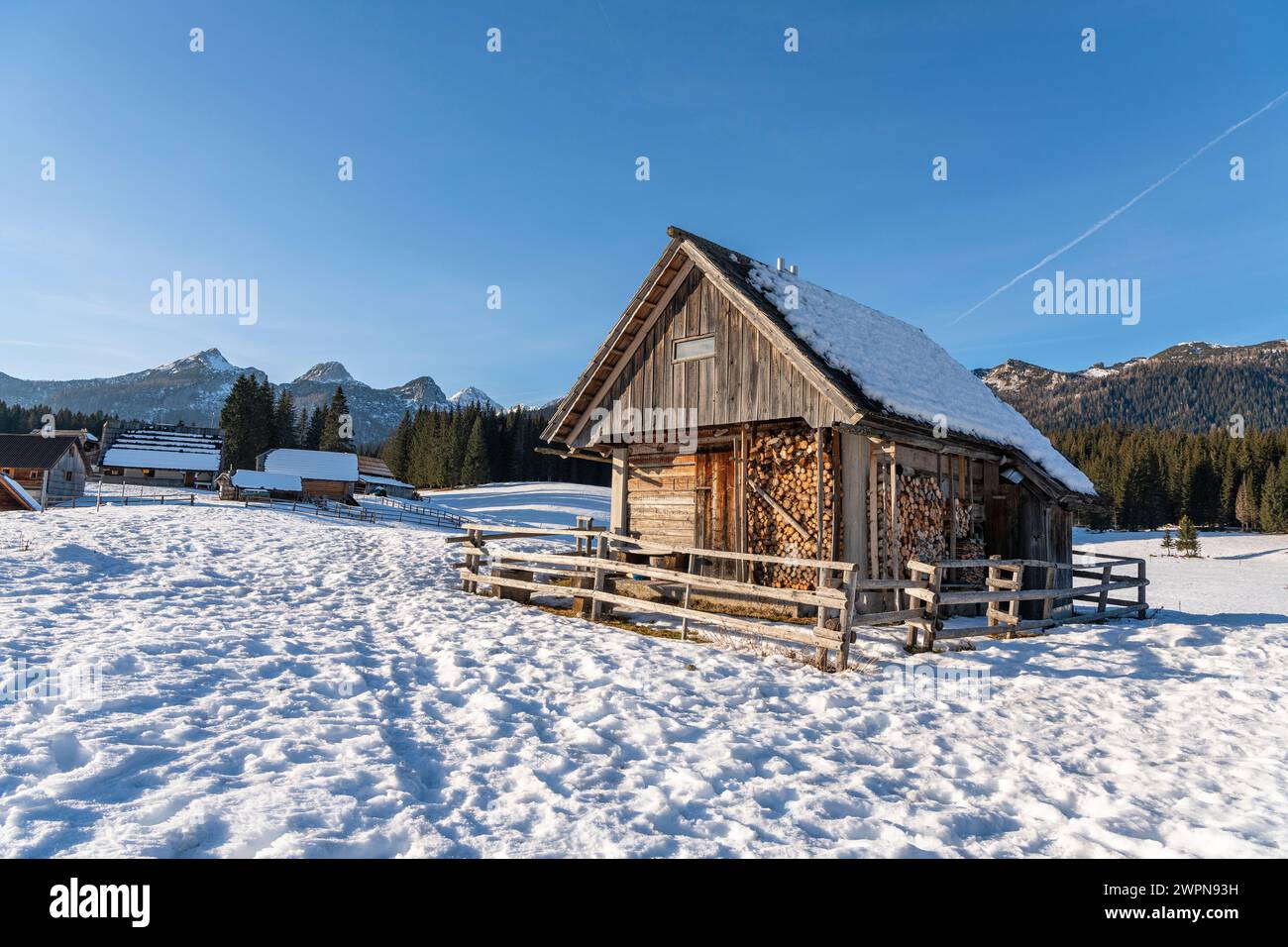 Pokljuka is an alpine plateau in north-western Slovenia. It is located in the Triglav National Park in the Julian Alps at around 1300 m above sea level. Stock Photo
