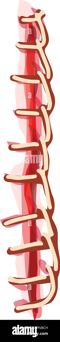 Surgical suture icon cartoon vector. Healthcare incision. Scalpel body ...