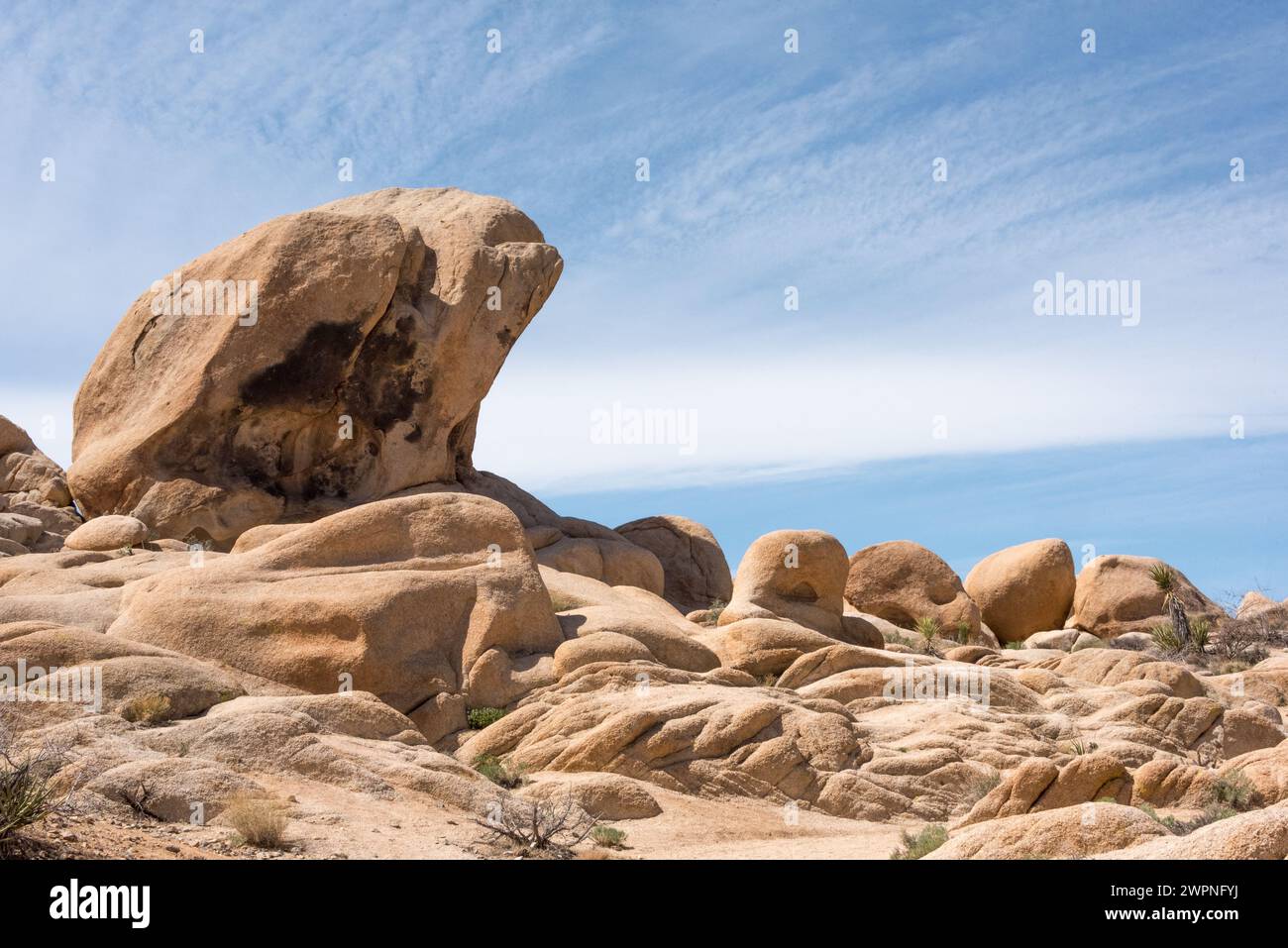 Joshua Tree National Park beautiful landscape with smooth boulders with blue sky and sweeping dramatic clouds across background, near Arch Rock. Stock Photo