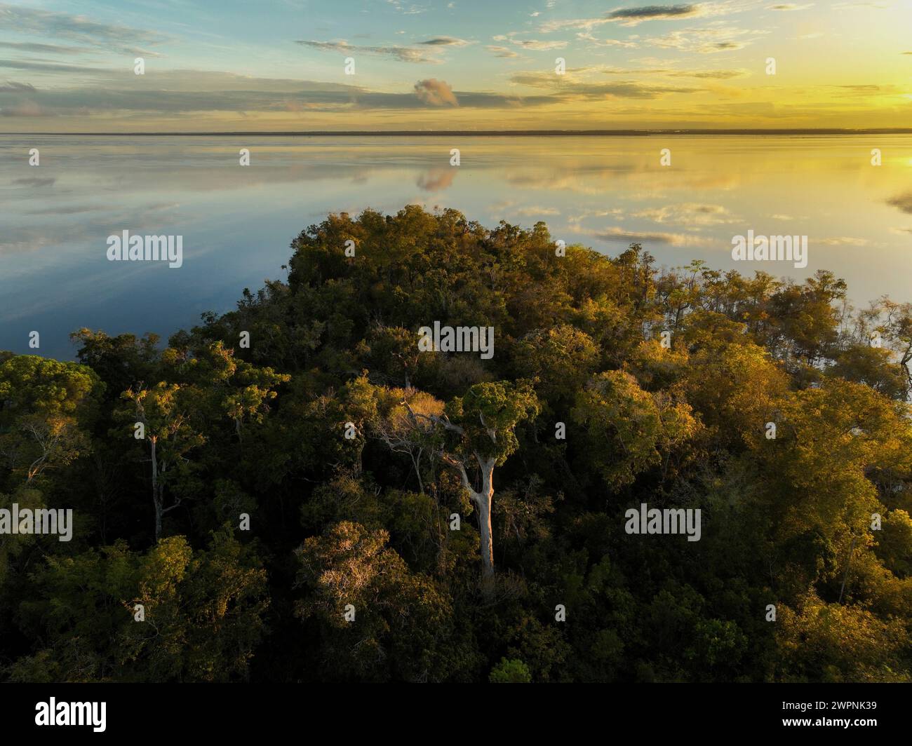 Amazon rainforest aerial hi-res stock photography and images - Alamy