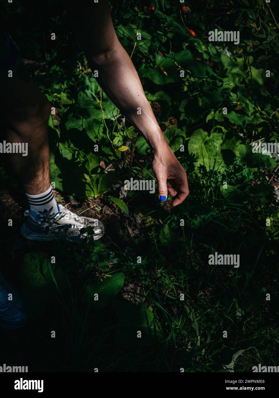 Man with blue painted fingernails Stock Photo Alamy
