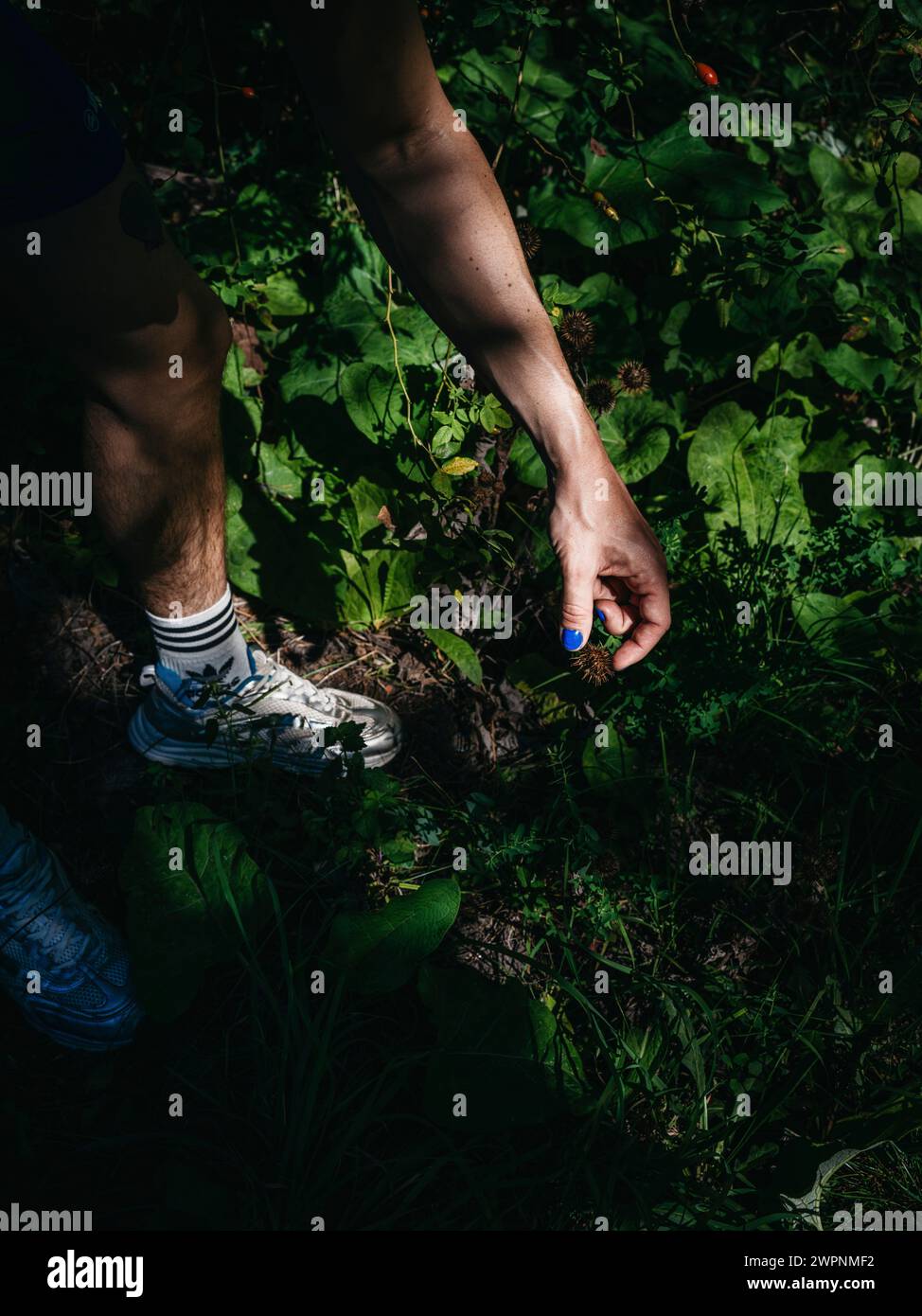 Man with blue painted fingernails Stock Photo Alamy