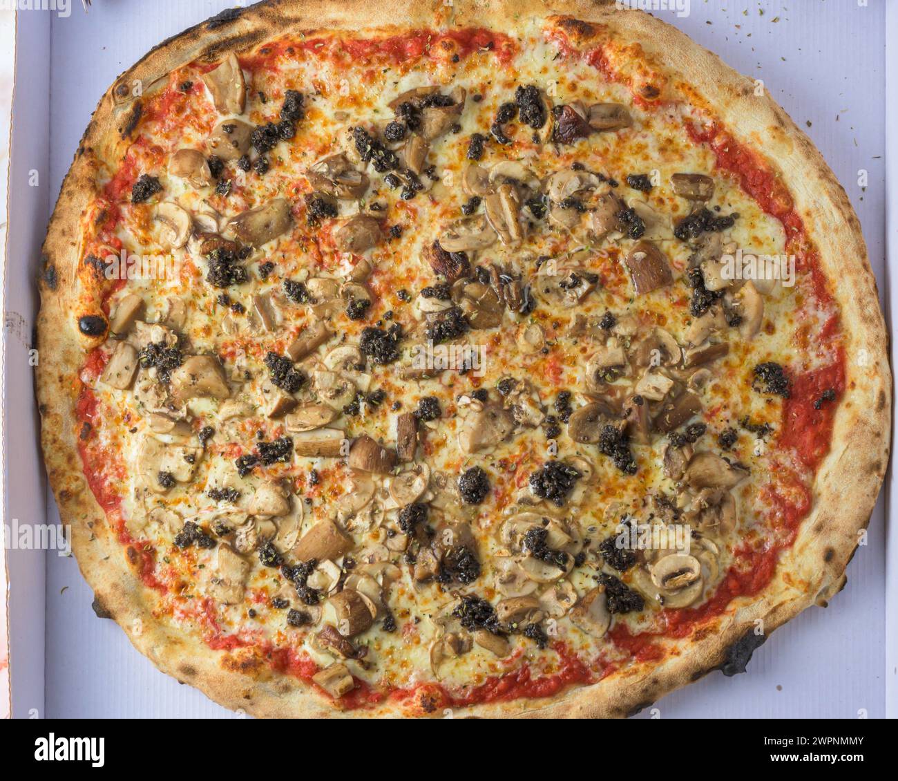 mushroom truffle pizza with a thin, chewy crust, rich truffle cream ...