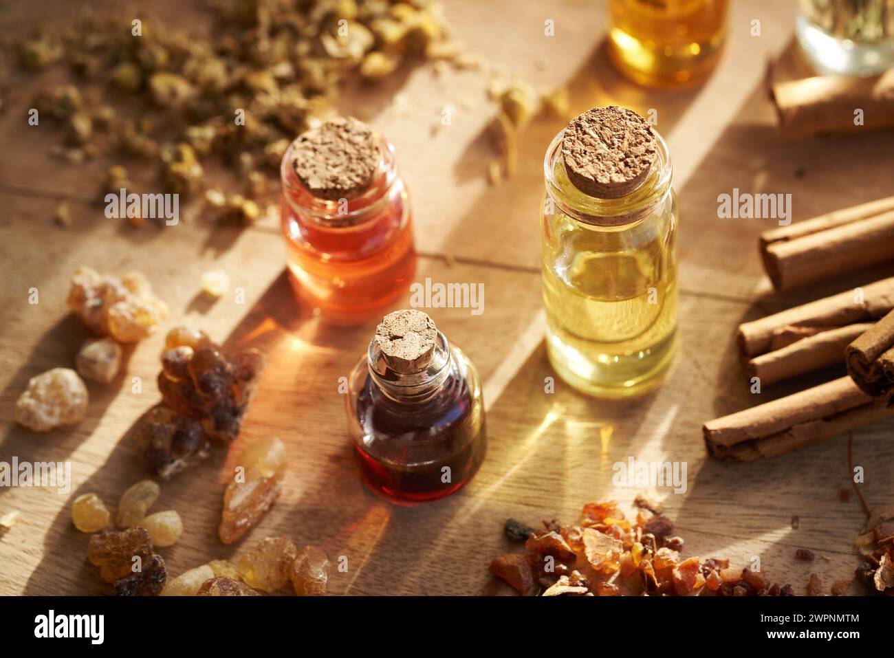 Bottles of aromatherapy essential oils with frankincense and myrrh resin, cinnamon and dried herbs Stock Photo