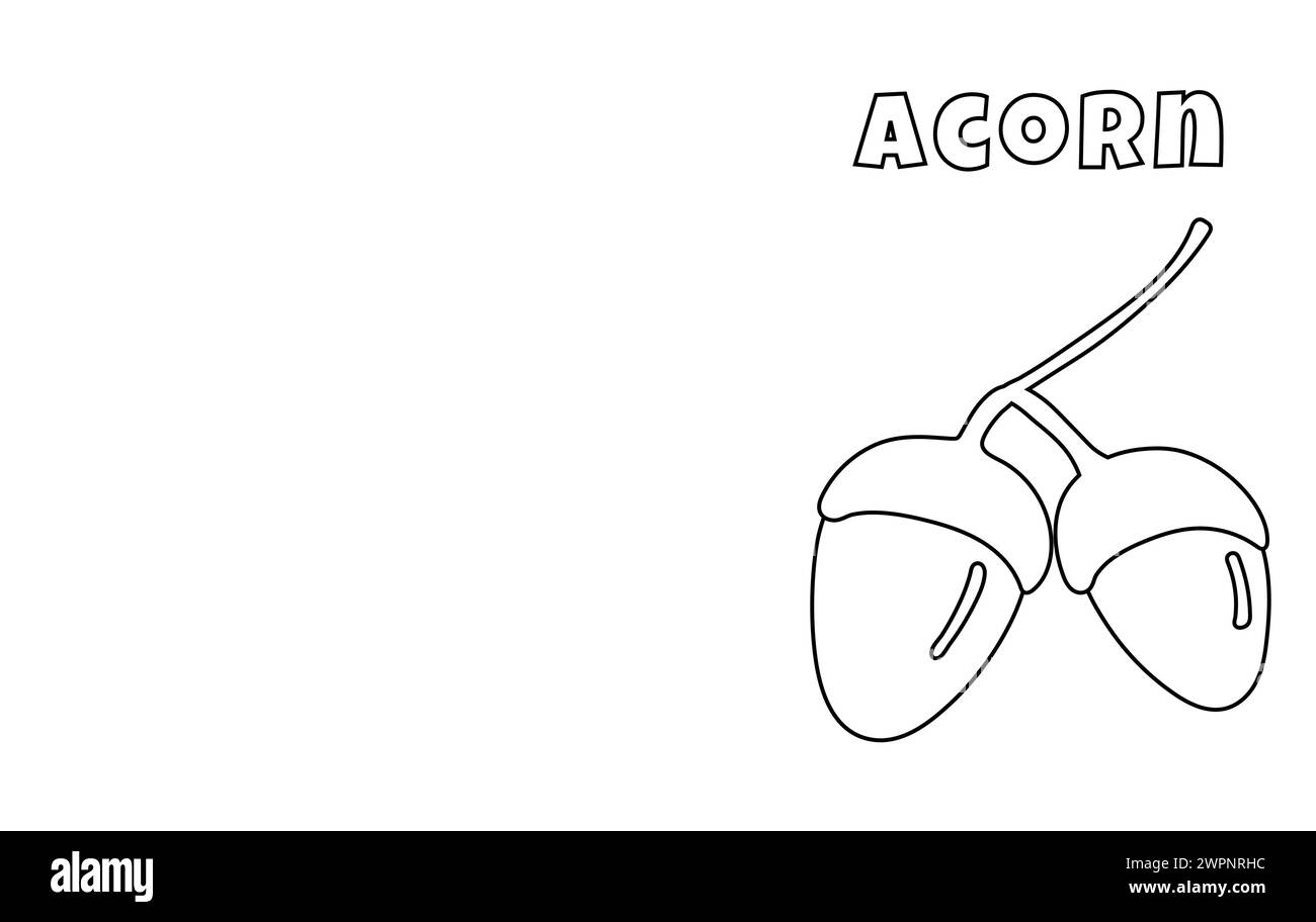 Coloring With Thick Lines For The - Coloring With Thick Lines For The Little Ones Acorn Coloring Page 2WPNRHC 