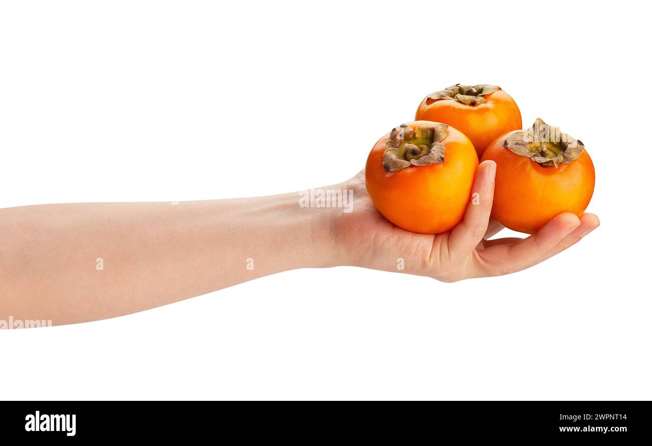 persimmon in hand path isolated on white Stock Photo