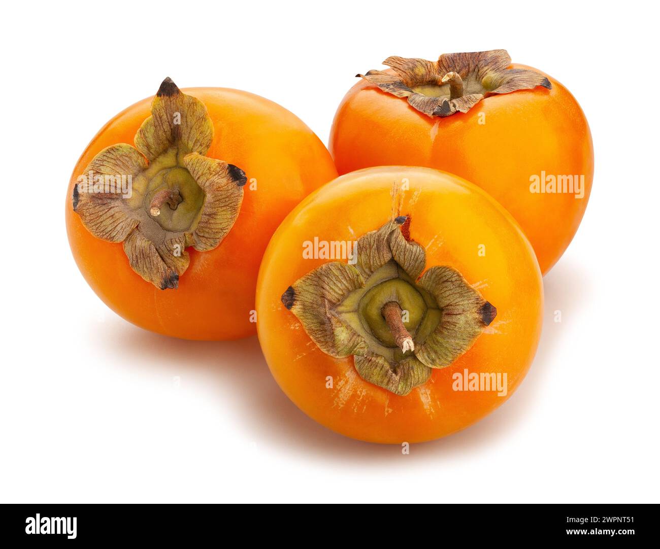 persimmon path isolated on white Stock Photo