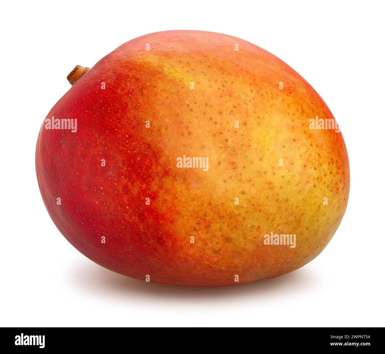 mango path isolated on white Stock Photo