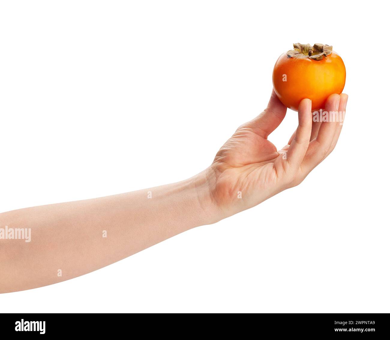 persimmon in hand path isolated on white Stock Photo