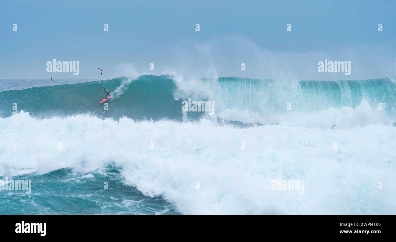 "Giant Cow" surf competition. Storm surge with big waves. Santander Municipality. Cantabrian Sea. Cantabria. Spain. Europe Stock Photo