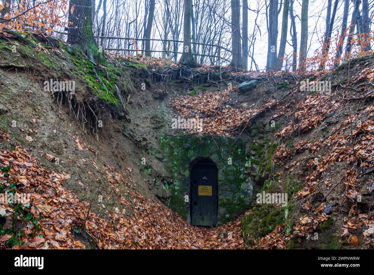 Bad Gottleuba-Berggießhübel, entrance to old mine, Saxony, Germany Stock Photo