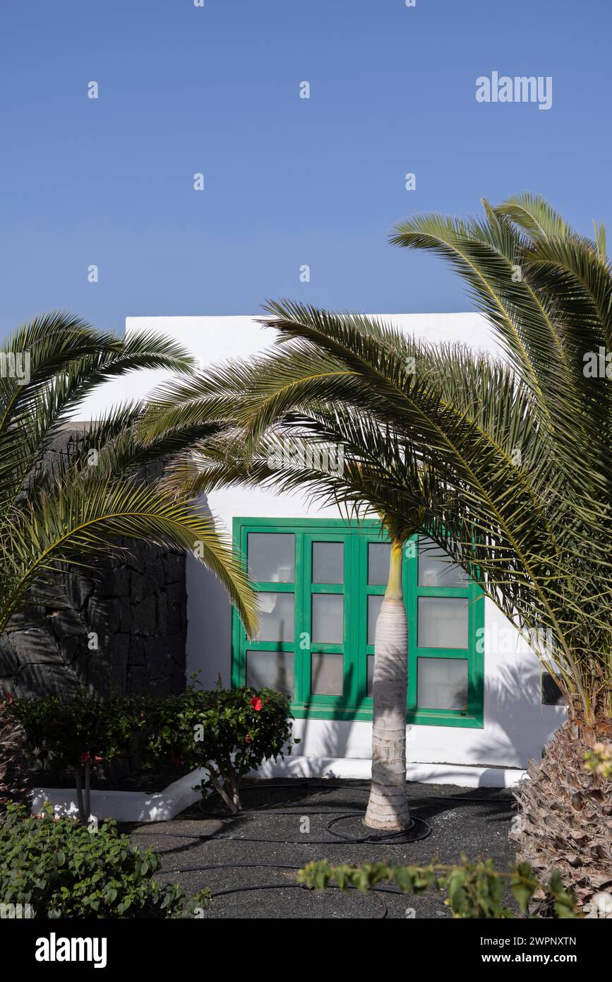 Whitewashed house behind palm trees on the Canary Island of Lanzarote, Spain Stock Photo