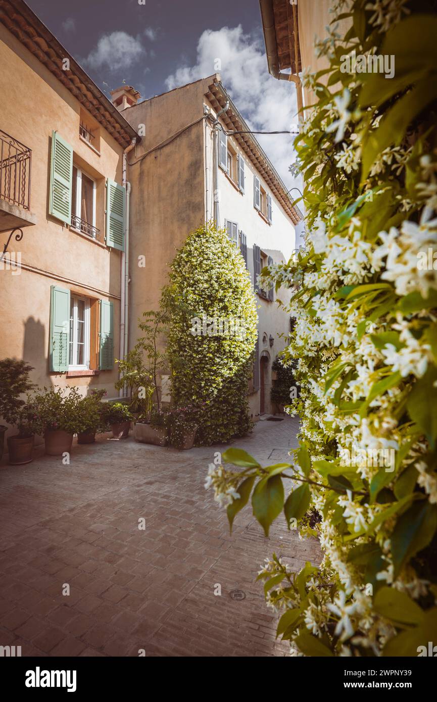 Picturesque old town alley with blooming jasmine in the medieval town center of Mougins, Provence-Alpes-Cote d'Azur in southern France Stock Photo