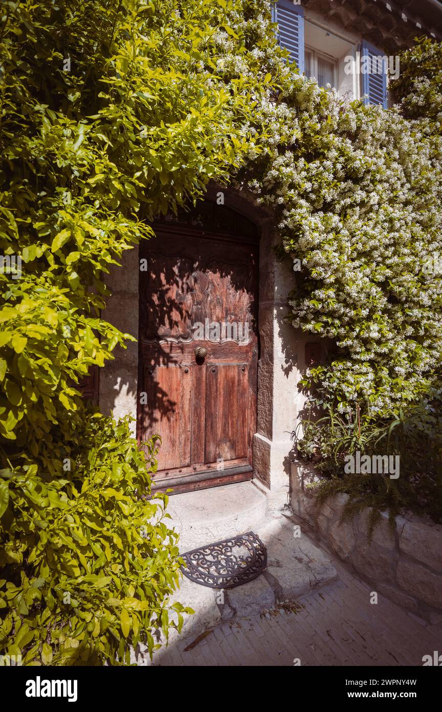 Old picturesque wooden door framed by wisteria and real jasmine in the medieval town center of Mougins, Provence-Alpes-Cote d'Azur in southern France Stock Photo