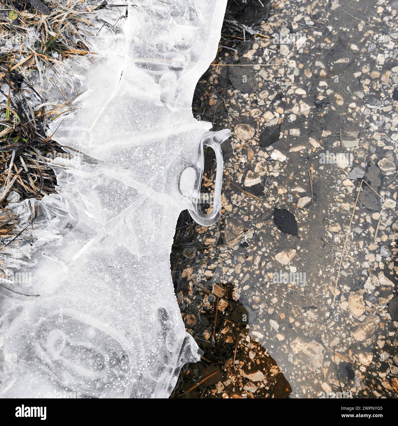 Unusual, curious ice form at the edge of the water Stock Photo