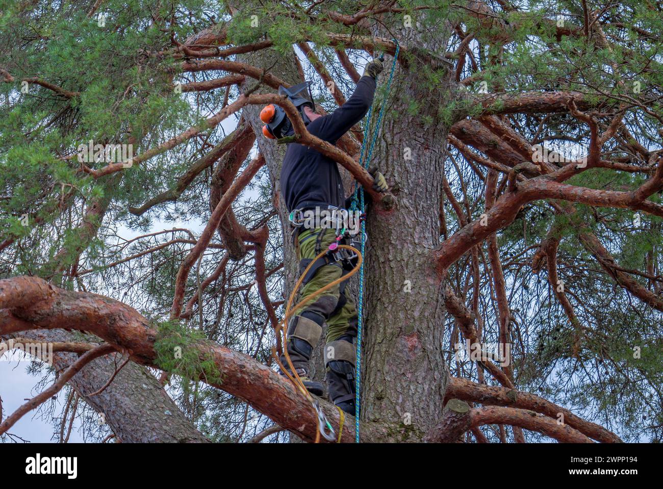 Work at height regulations hi-res stock photography and images - Alamy