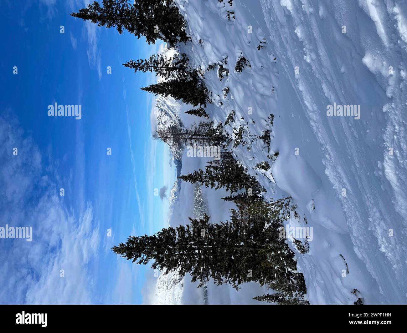 Rosshütte ski area in Seefeld in Tirol, view into the snow-covered nature towards Mittenwald, mountains, nature, activity, sun, clouds, blue sky, Tirol's high plateau, Seefeld, Tirol, Austria Stock Photo