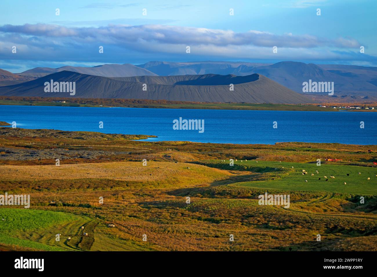View over Lake Myvatn in the north of Iceland to the crater of the Hverfall volcano. Stock Photo