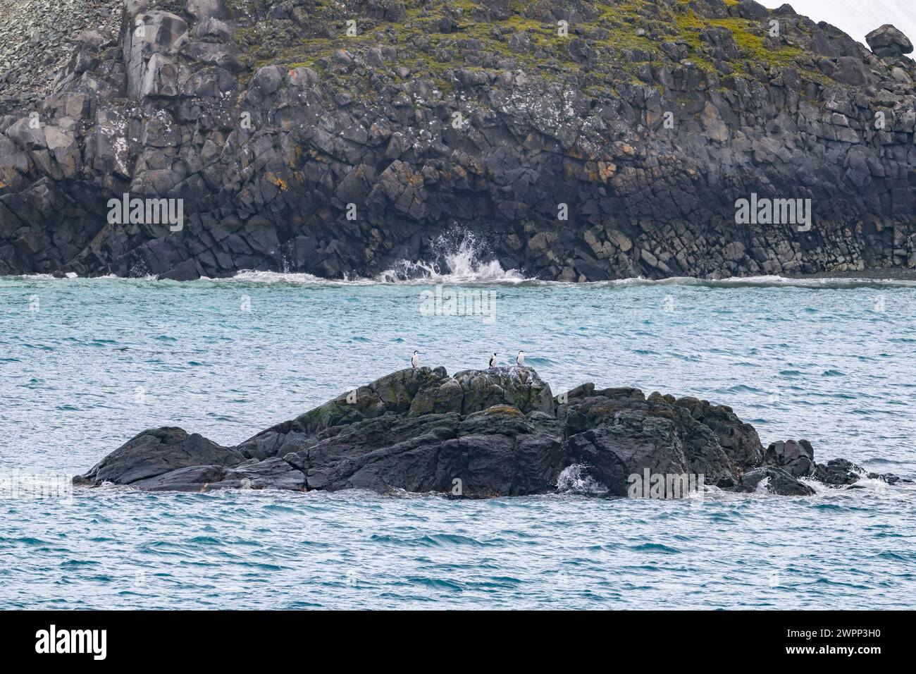 Dark volcanic rocks on the coast of Antarctica. Stock Photo