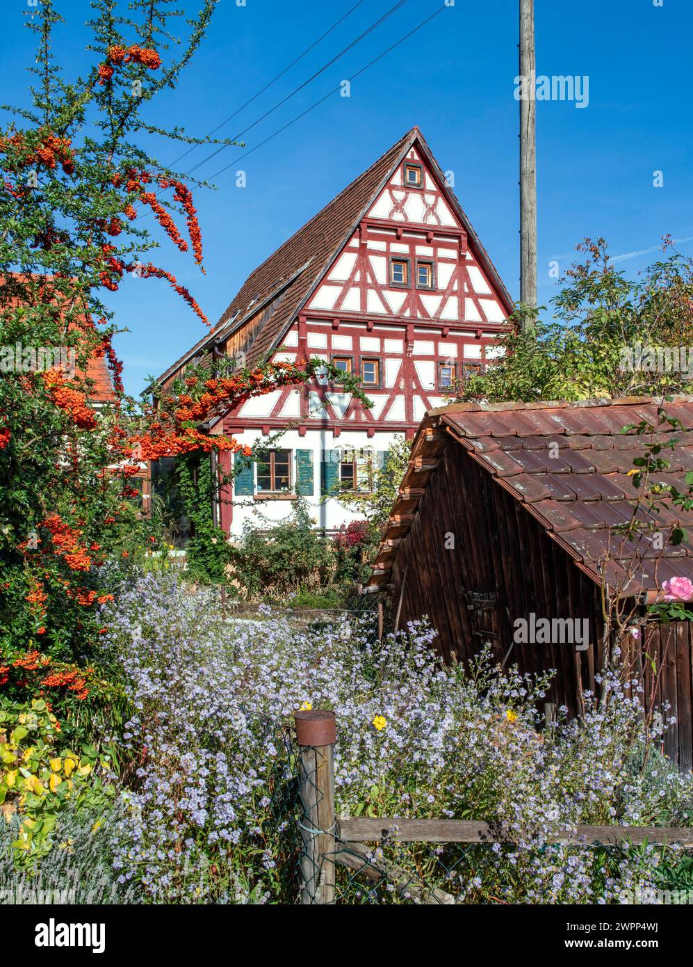 Nehren, district of Tübingen, half-timbered gable on the house at Hauchlinger Straße 27. Farm garden with garden house, flowers and sea buckthorn. Stock Photo