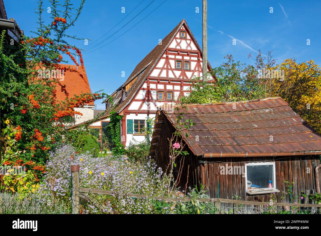 Nehren, district of Tübingen, half-timbered gable on the house at Hauchlinger Straße 27. Farm garden with garden house, flowers and sea buckthorn Stock Photo