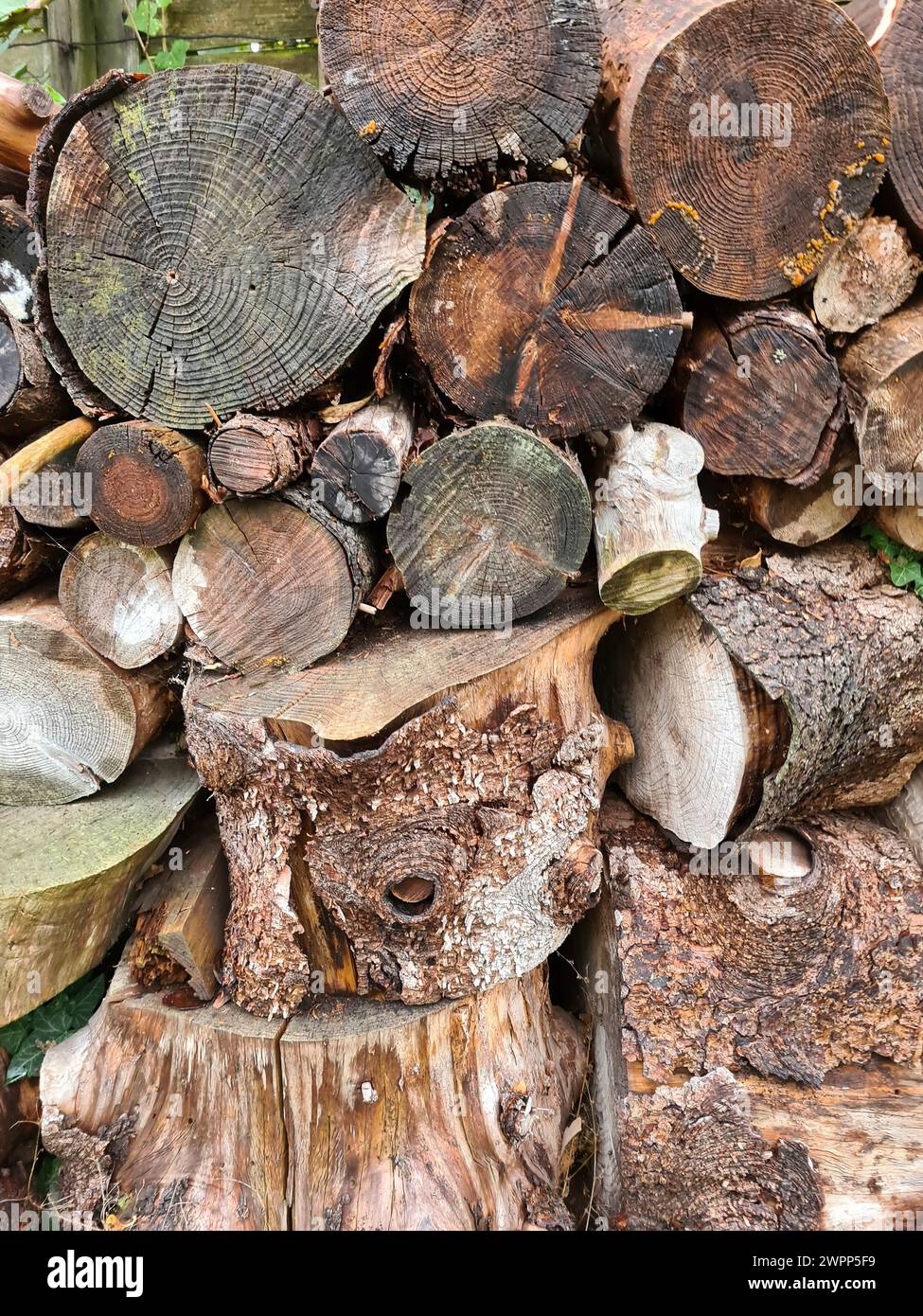 Unsorted wood pile with large tree slices and small tree trunks stored on top of each other, Berlin, Germany Stock Photo