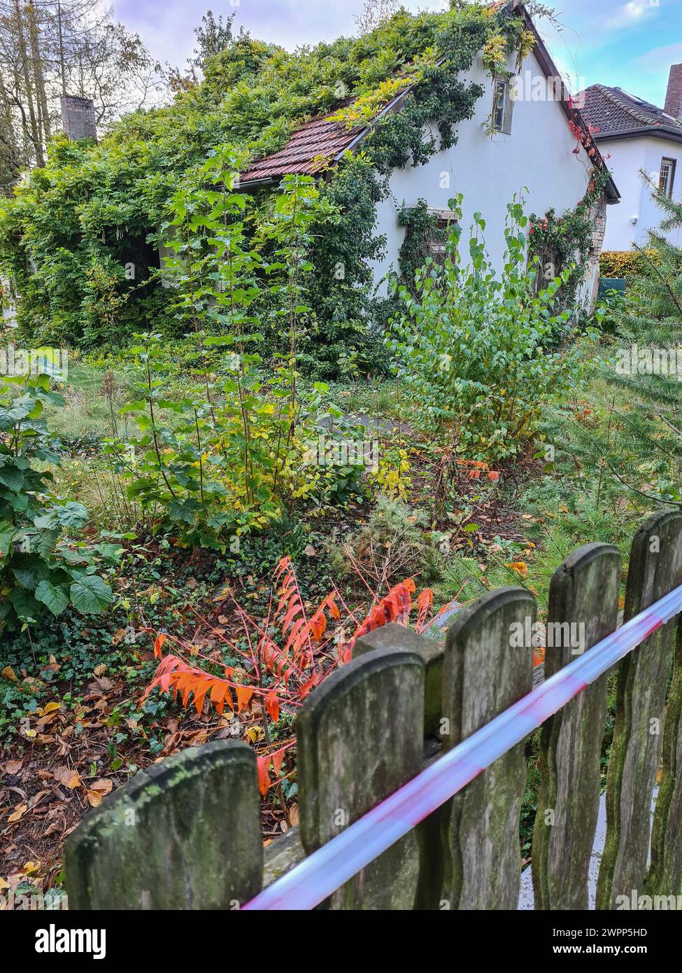 View from the street over the wooden fence with barrier tape to an overgrown abandoned house, overgrown with ivy and plants, Berlin, Germany Stock Photo