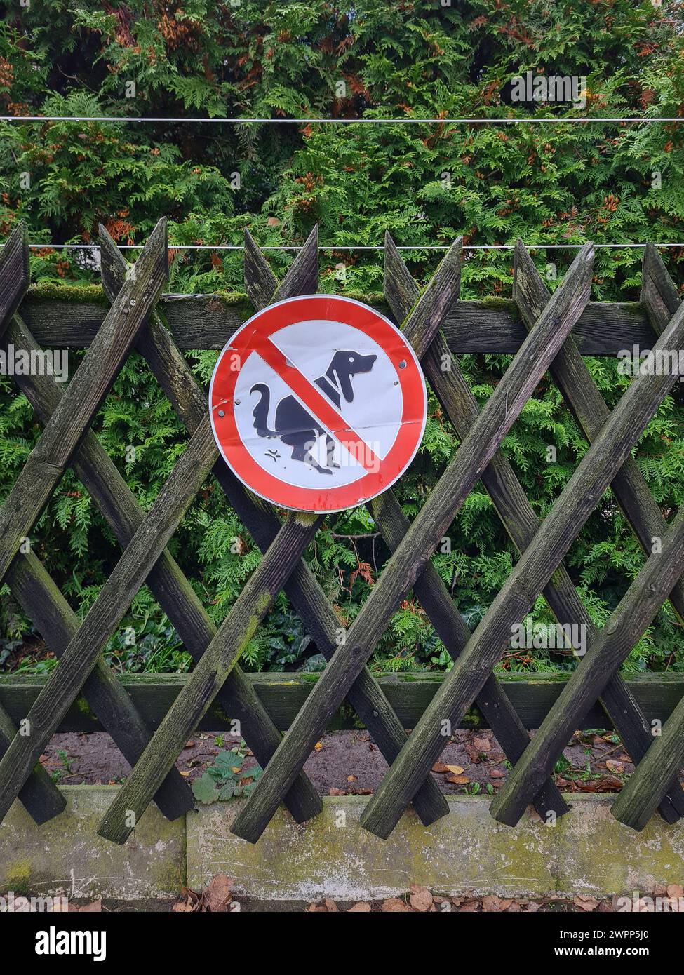A hunter's fence with a red prohibition sign as a warning and indication against dog excrement Stock Photo