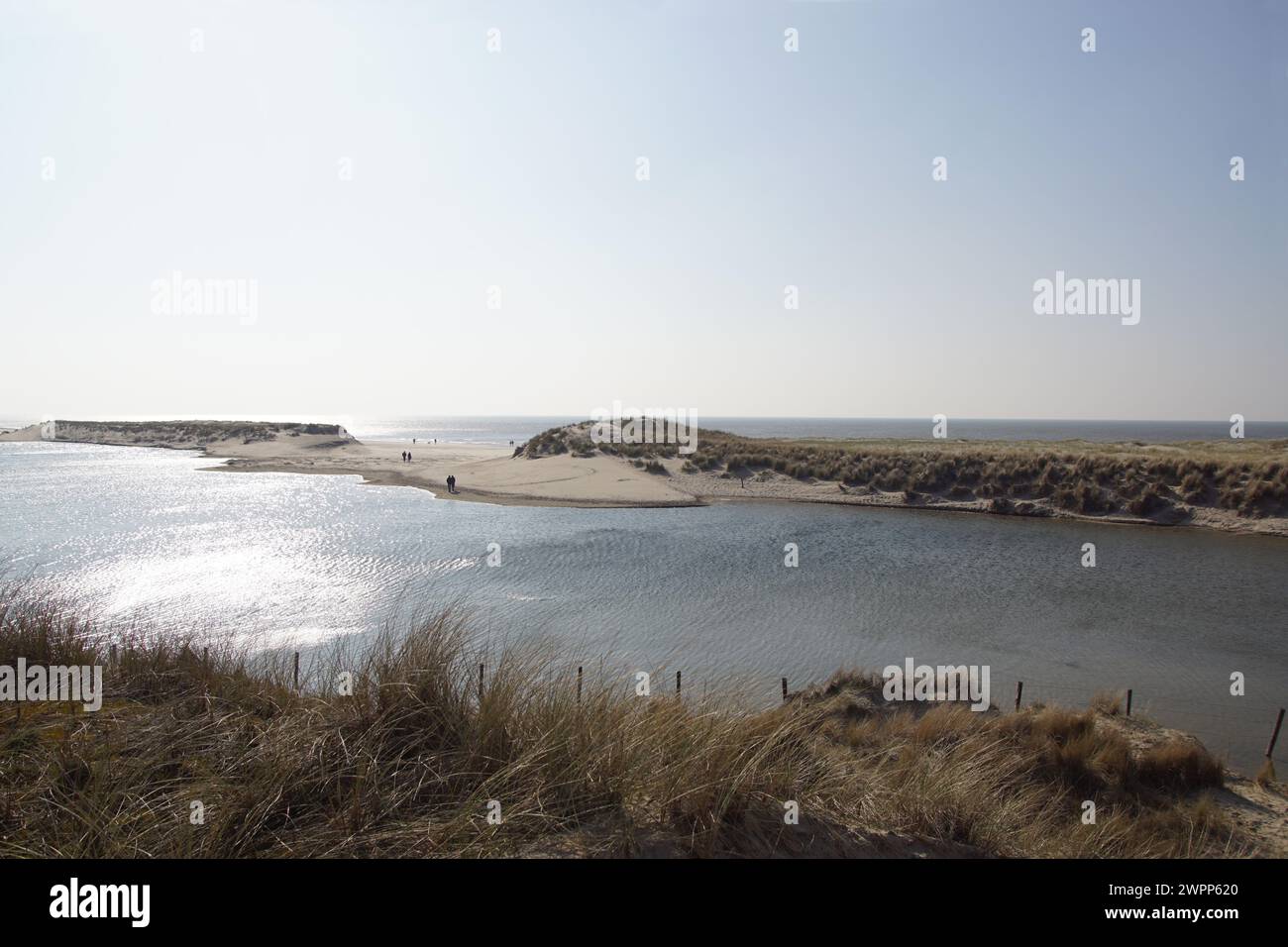 Dune landscape, North Sea, lagoon on the beach of Schoorl - Camperduin ...