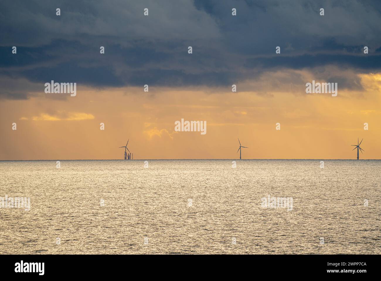 Gallery image with a fresh perspective