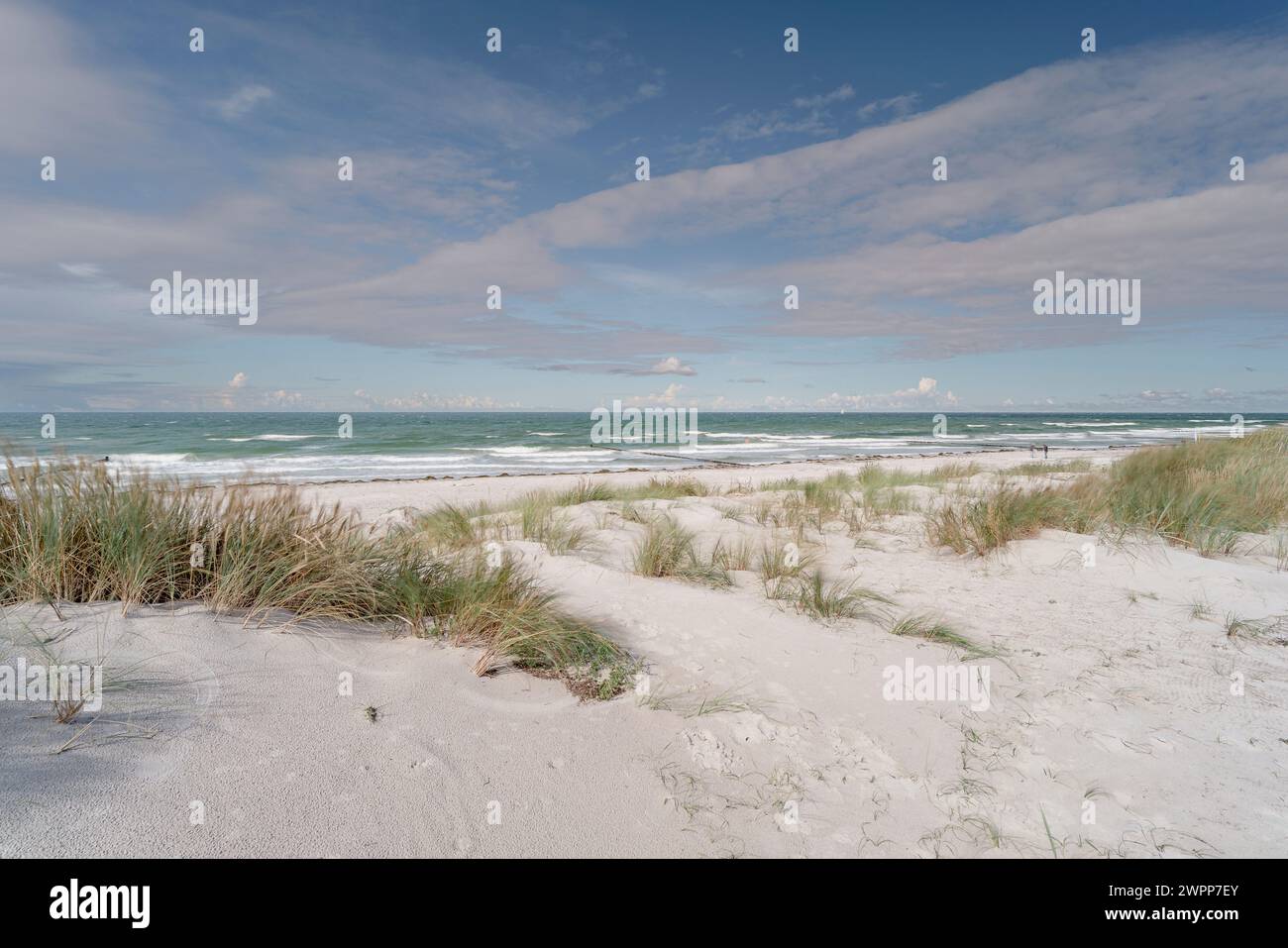 Vitte beach on the island of Hiddensee, Mecklenburg-Western Pomerania, Germany Stock Photo