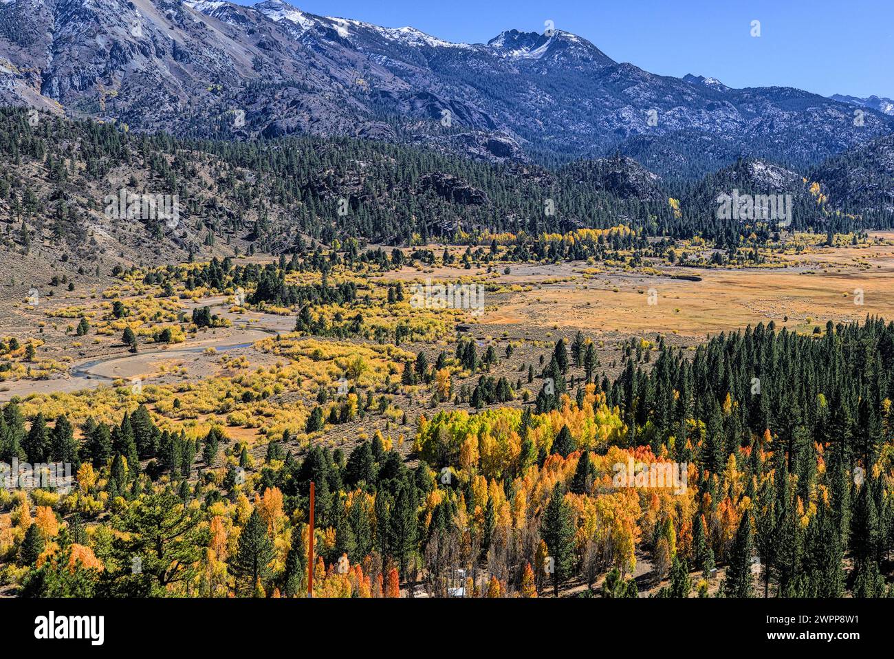 Changing colors in autumn hi-res stock photography and images - Alamy