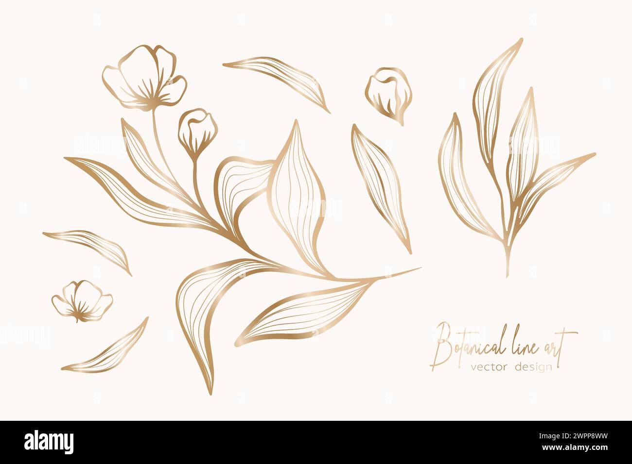 Botanical elegant gold line art illustration of flower leaves branch for wedding invitation and cards, logo design, web, social media and poster, temp Stock Vector