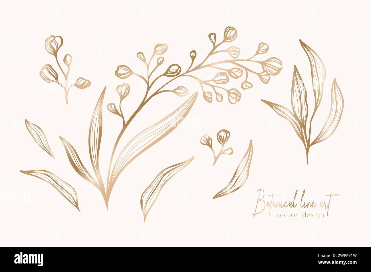 Botanical elegant gold line art illustration of flower leaves branch for wedding invitation and cards, logo design, web, social media and poster, temp Stock Vector