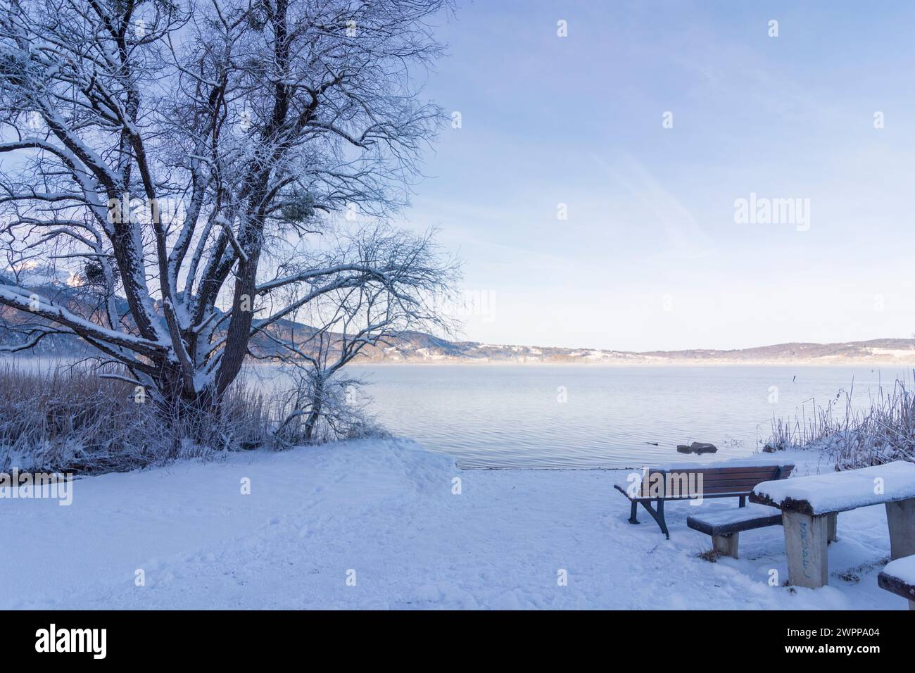 Kochel am See, lake Kochelsee, snow, hoarfrost, bench, Tölzer Land, Upper Bavaria, Bavaria, Germany Stock Photo