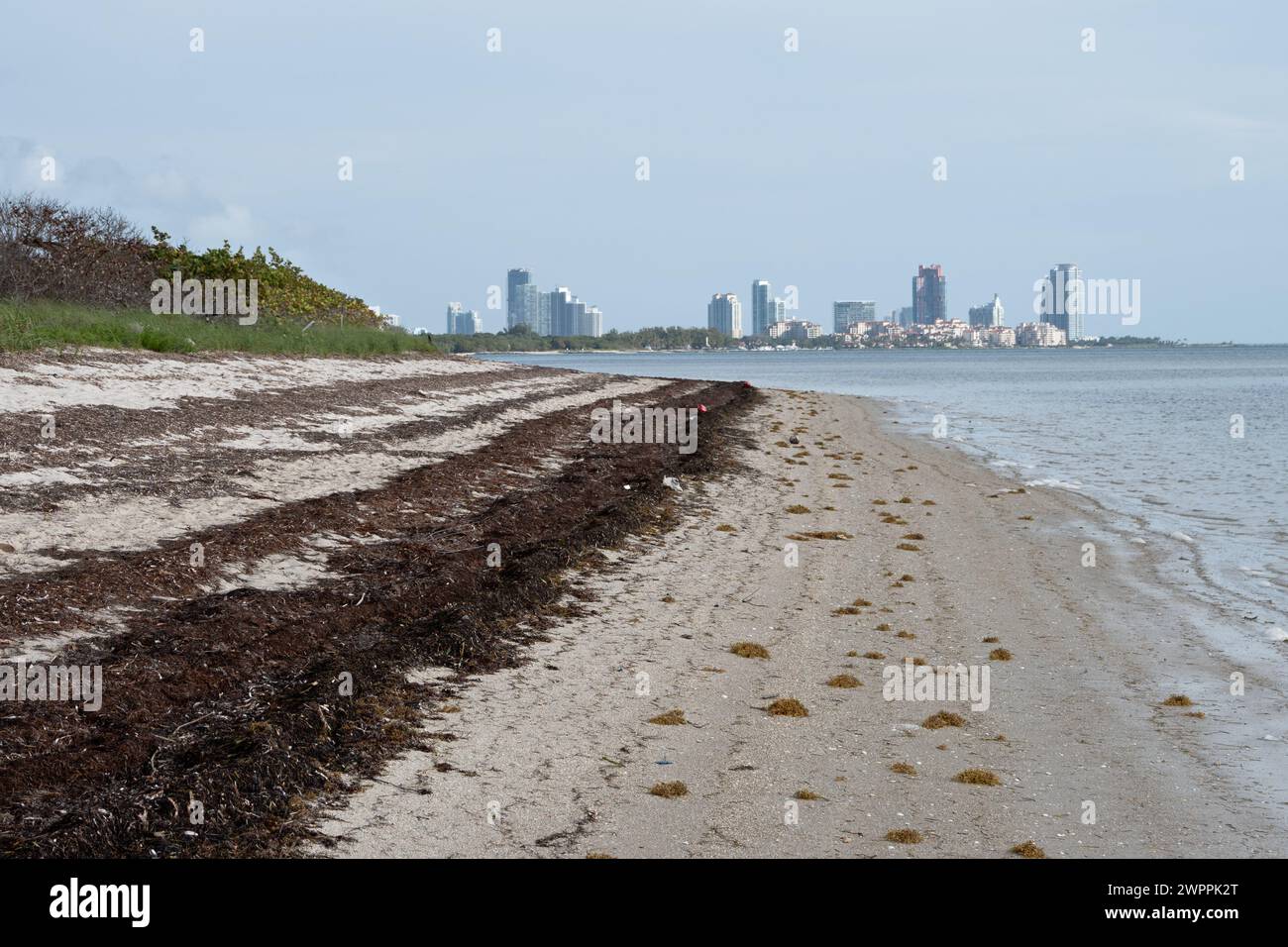 Discovering High Tide in Pompano Beach, Florida: A Comprehensive Guide