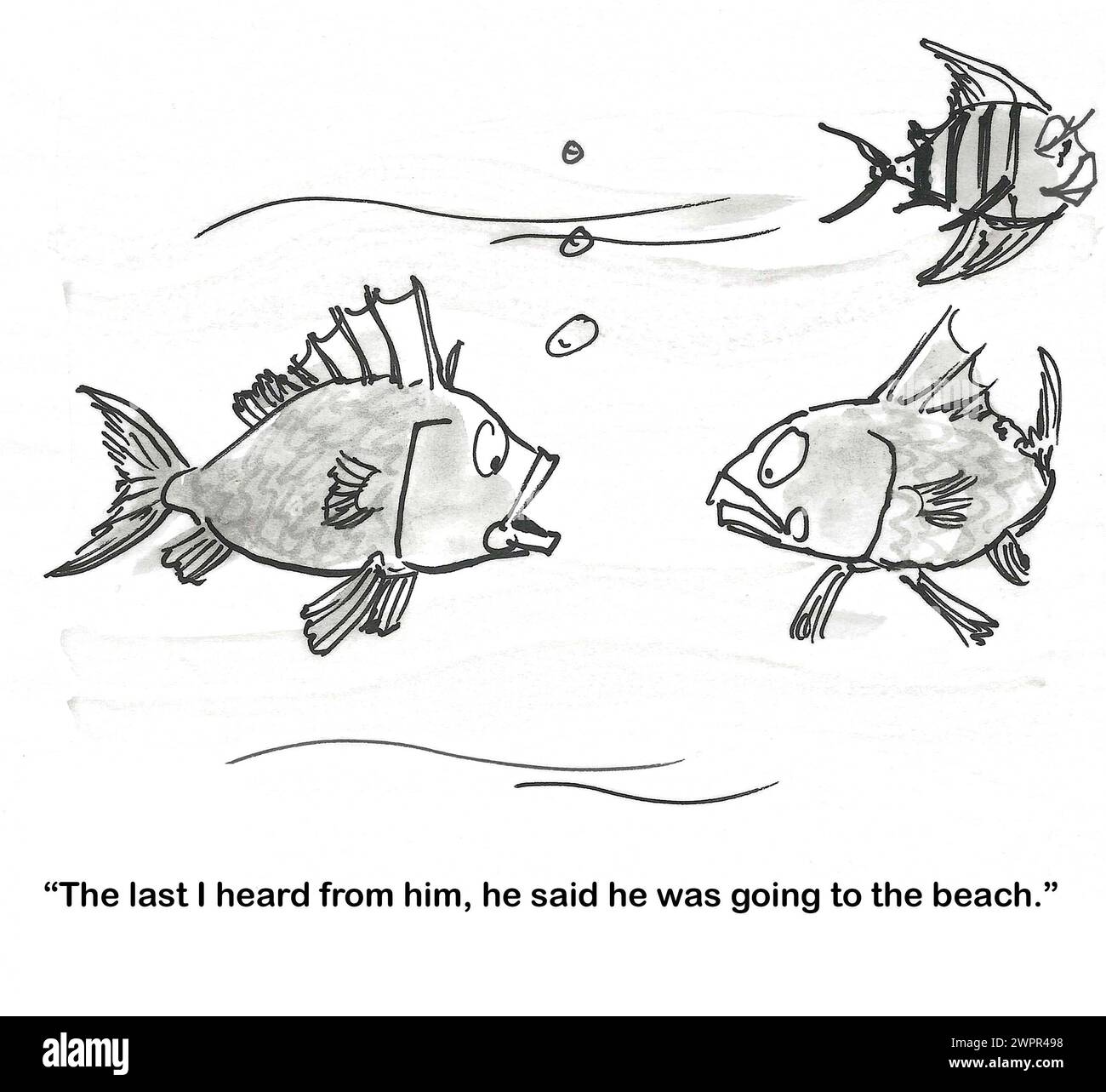 BW cartoon of fish missing a friend. Stock Photo