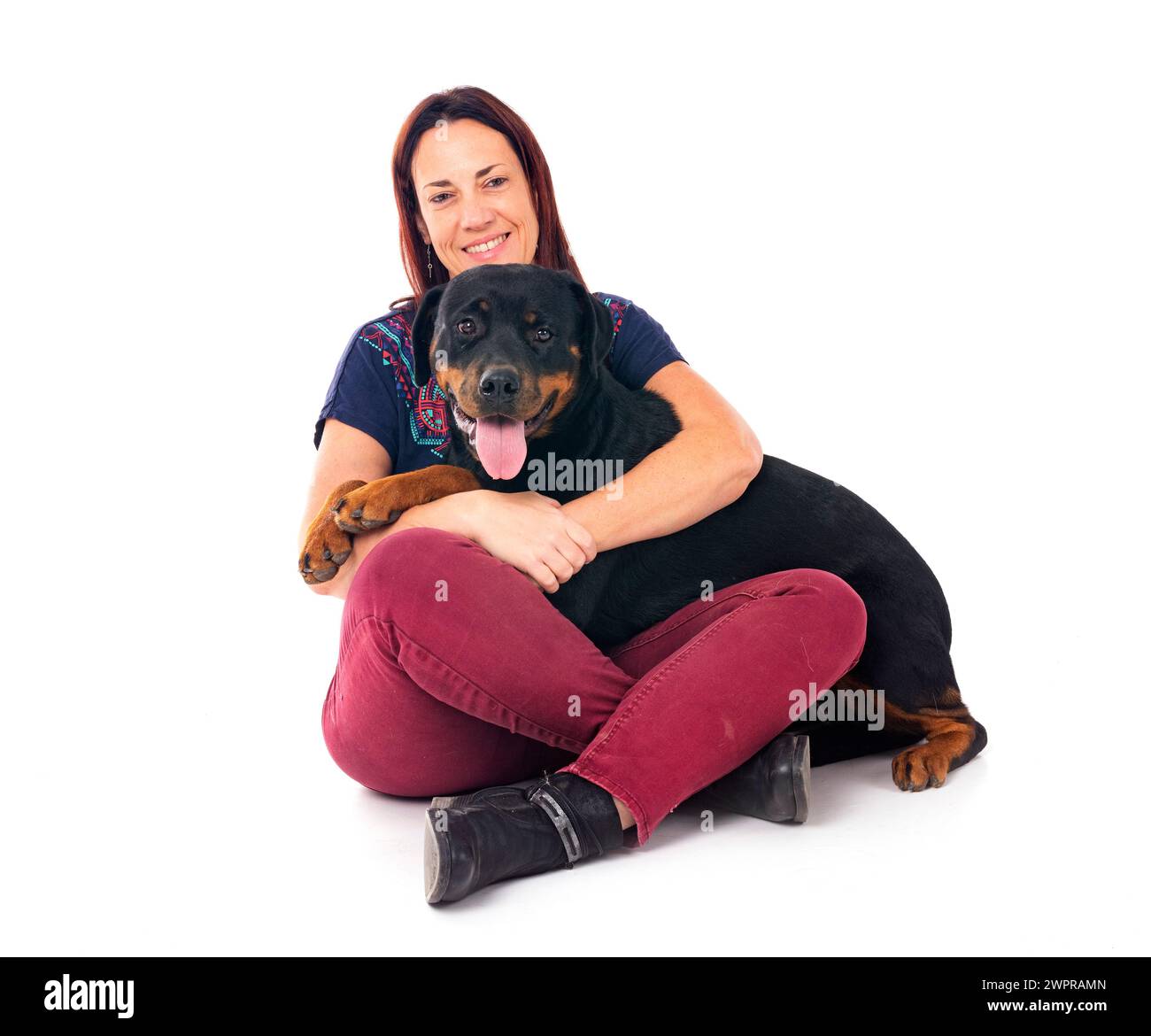 Three Rottweilers Woman purebred rottweiler and woman in front of white background Stock Photo ...