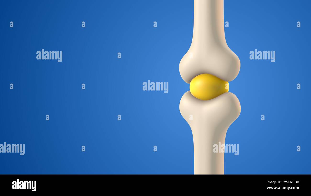 Human bone joint cavity with synovial fluid Stock Photo Alamy
