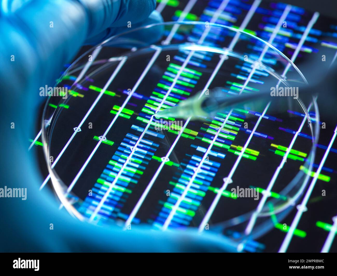 Genomics, conceptual image Stock Photo