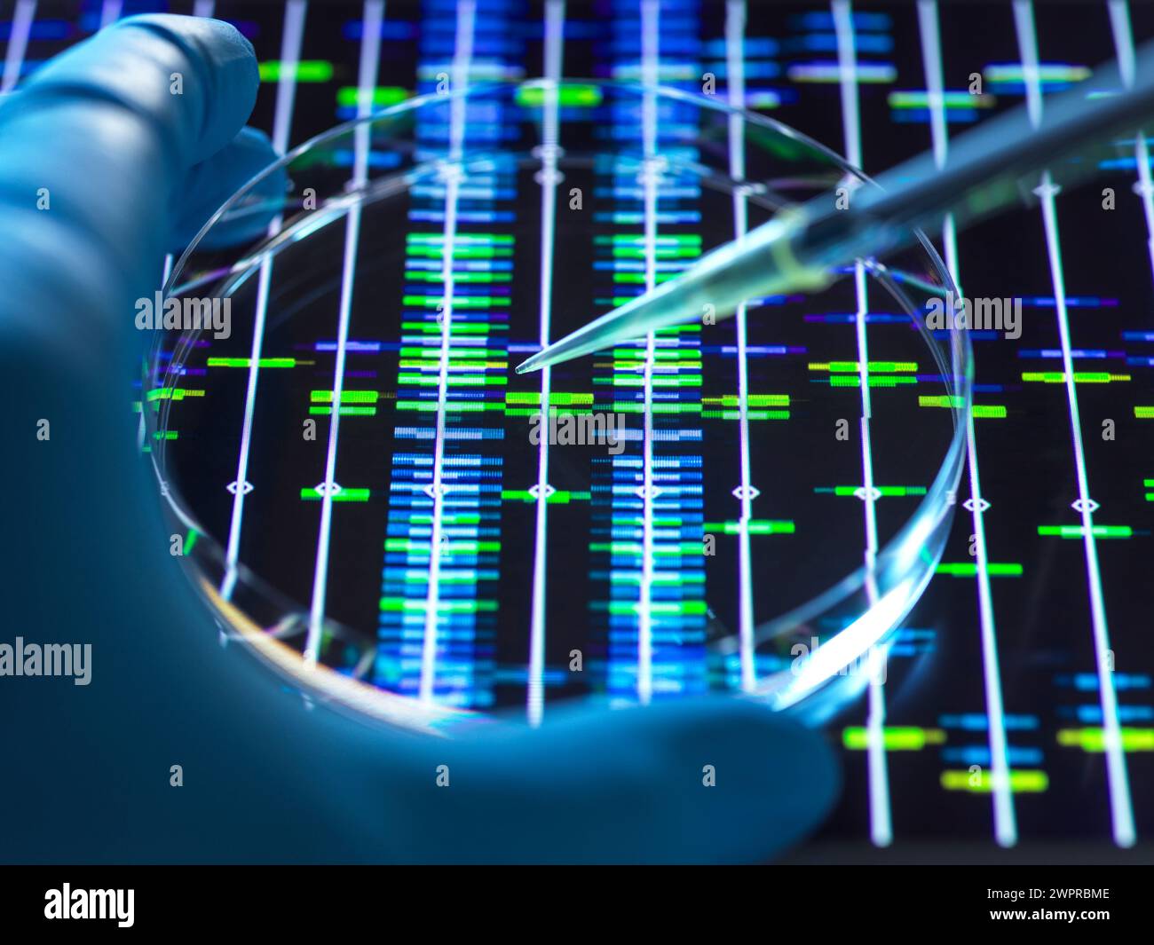 Genomics, conceptual image Stock Photo