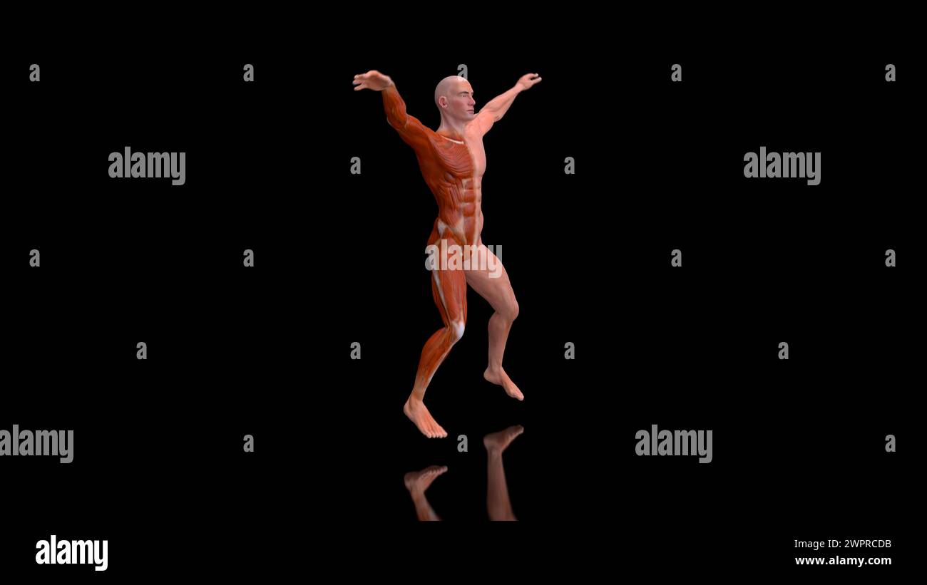 Jumping jacks exercise hi-res stock photography and images - Alamy