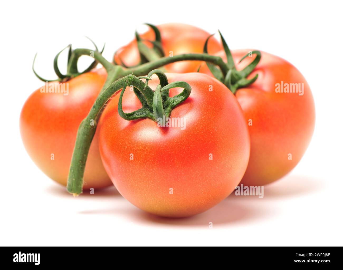 fresh tomato isolated on white background Stock Photo - Alamy